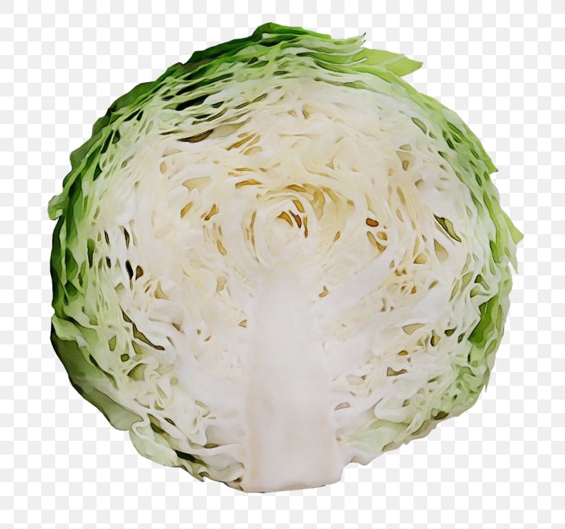 Cabbage Iceburg Lettuce Food Wild Cabbage Vegetable, PNG, 768x768px, Watercolor, Cabbage, Celeriac, Chinese Cabbage, Food Download Free