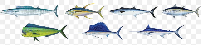 Mahi-mahi Fish Tuna King Mackerel, PNG, 2048x460px, Watercolor, Cartoon, Flower, Frame, Heart Download Free