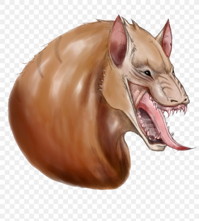 Pig's Ear Snout Carnivora, PNG, 1024x1137px, Snout, Carnivora, Carnivoran, Ear, Jaw Download Free