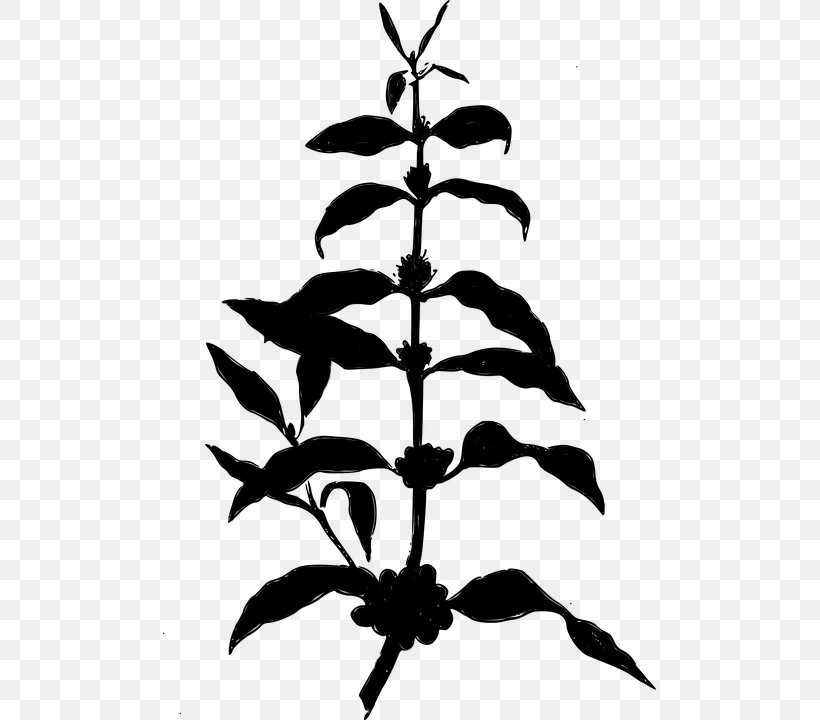 Twig Plant Stem Leaf Clip Art Silhouette, PNG, 493x720px, Twig, Blackandwhite, Botany, Branch, Flower Download Free