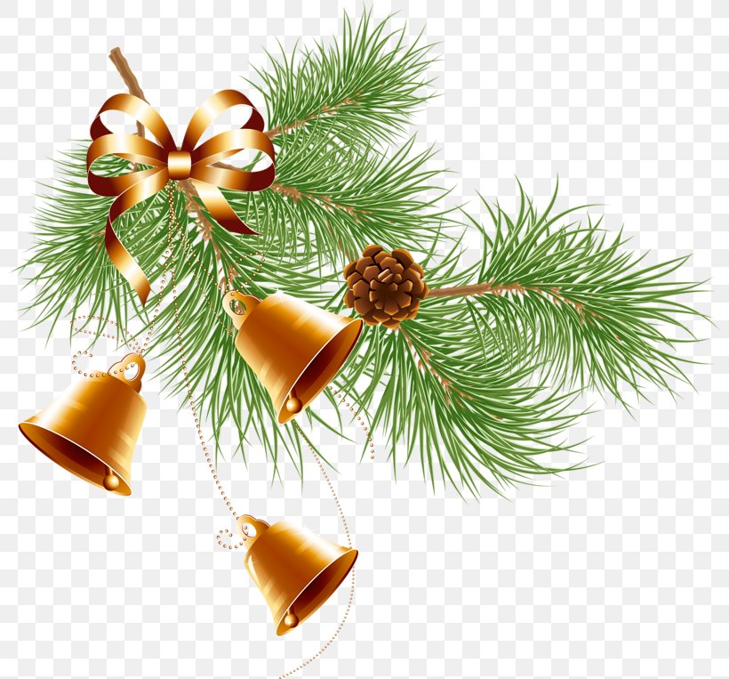 Christmas Ornament New Year Pine Clip Art, PNG, 800x763px, 6 January, Christmas, Bell, Branch, Christmas Decoration Download Free
