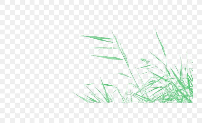 Desktop Wallpaper Grass Font Line Commodity, PNG, 750x500px, Grass, Botany, Brush, Commodity, Computer Download Free