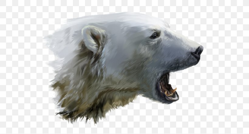 Polar Bear Cat Growling DeviantArt, PNG, 600x441px, Polar Bear, Art, Bear, Carnivoran, Cat Download Free