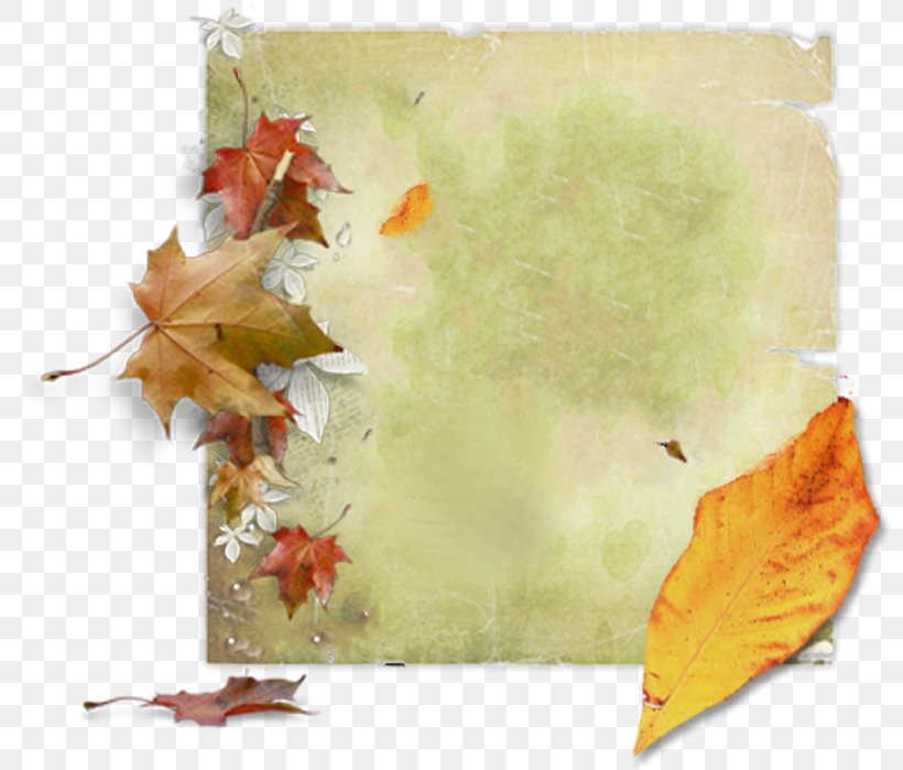 Autumn Maple Leaf Clip Art, PNG, 800x699px, Autumn, Art, Autumn Leaf Color, Color, Green Download Free