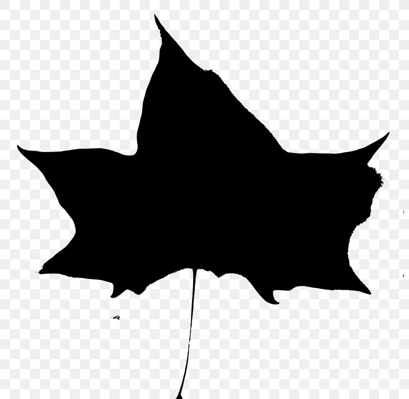 Clip Art, PNG, 800x800px, Silhouette, Autumn, Black, Black And White, Black Cat Download Free