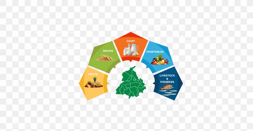 Tea Maharashtrian Cuisine Indian Cuisine Food Rajasthan, PNG, 1366x711px, Tea, Convenience Food, Food, Food Industry, Food Processing Download Free