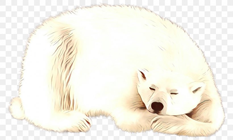 Whiskers Dog Polar Bear Arctic Fox Cat, PNG, 1316x794px, Whiskers, Animal Figure, Arctic, Arctic Fox, Bear Download Free
