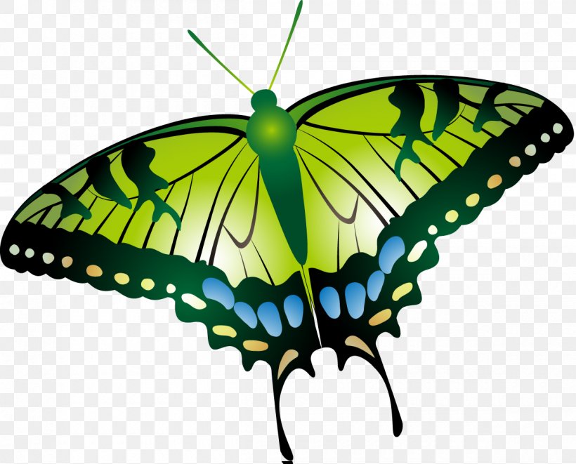 Butterfly Insect Moth Clip Art, PNG, 1200x968px, Butterfly, Arthropod, Brush Footed Butterfly, Butterflies And Moths, Insect Download Free