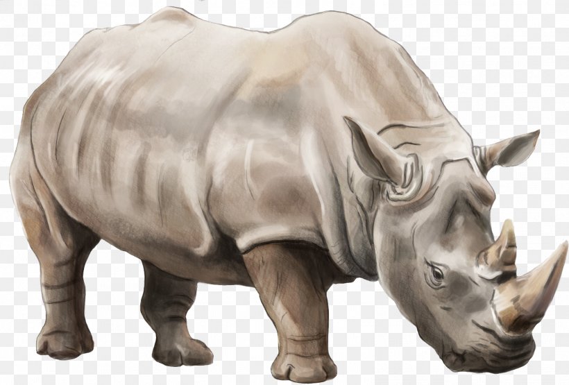 Elasmotherium Rendering, PNG, 1571x1064px, Rhinoceros, Fauna, Gimp, Horn, Image Resolution Download Free