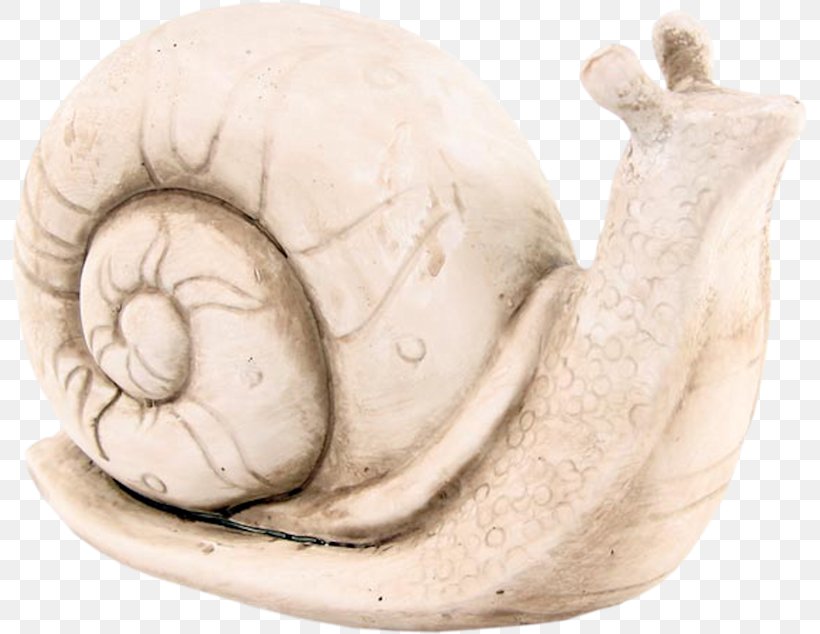 Snail Orthogastropoda Scale Model, PNG, 800x634px, Snail, Ceramic, Decorative Arts, Designer, Garden Ornament Download Free