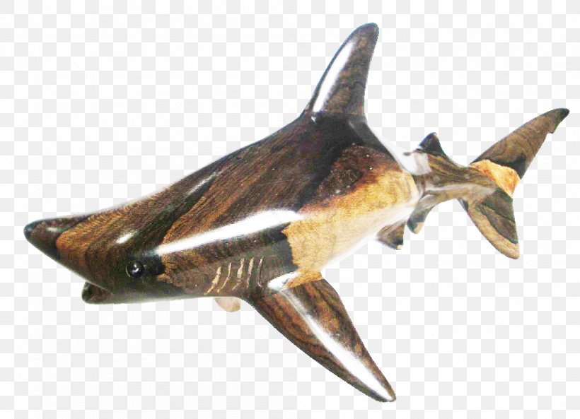 Great White Shark Blacktip Reef Shark Blacktip Shark Requiem Sharks, PNG, 998x722px, Shark, Animal Source Foods, Blacktip Reef Shark, Blacktip Shark, Caribbean Reef Shark Download Free