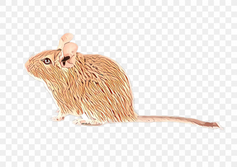 Mouse Muridae Rat Animal Figure Gerbil, PNG, 2379x1680px, Mouse, Animal Figure, Beige, Fawn, Gerbil Download Free