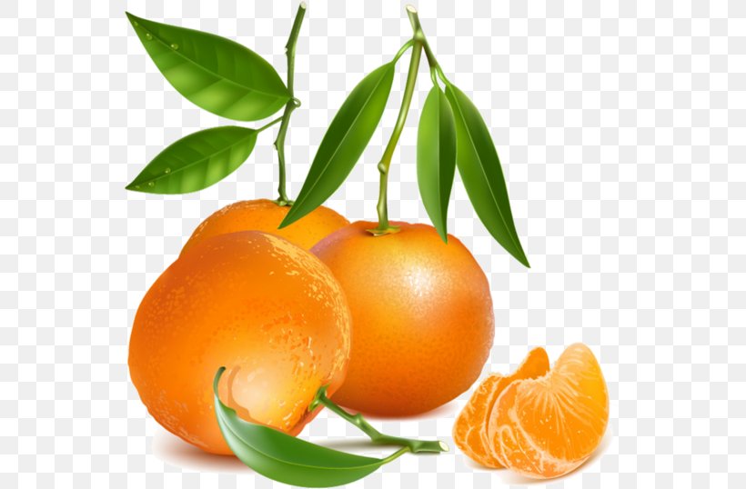Orange, PNG, 550x538px, Clementine, Citrus, Food, Fruit, Mandarin Orange Download Free