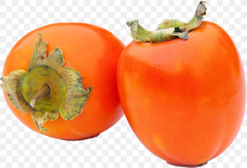 Persimmons Cultivar Auglis Taste Fruit, PNG, 859x586px, Persimmons, Auglis, Bush Tomato, Calorie, Common Fig Download Free