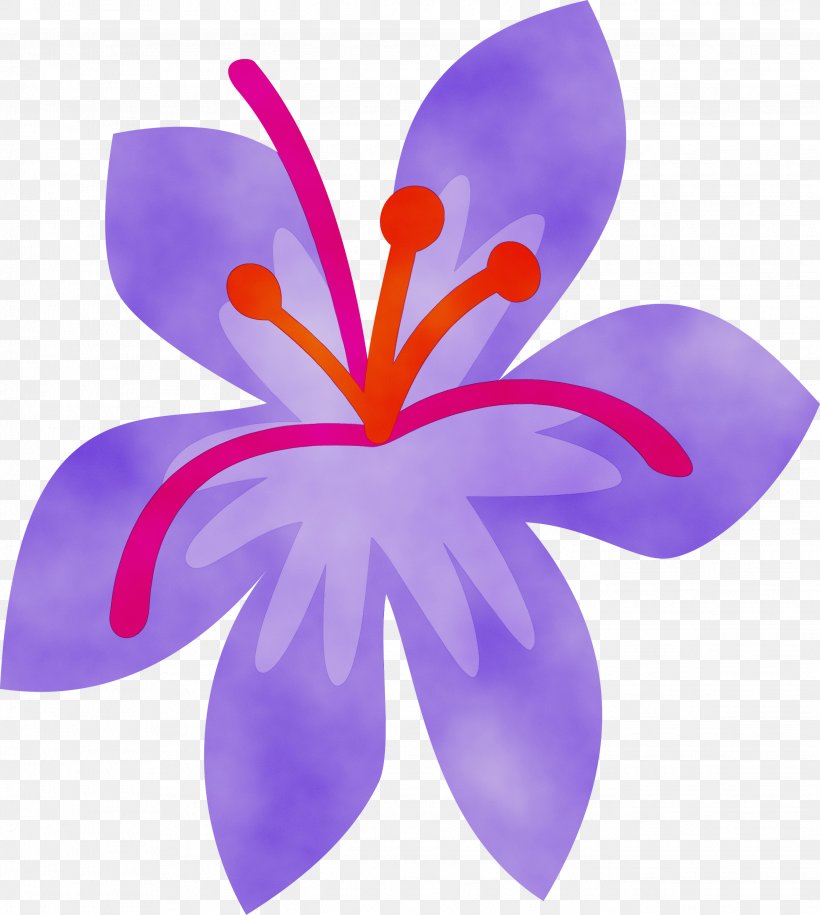 Petal Violet Purple Flower Plant, PNG, 2686x3000px, Watercolor, Crocus, Flower, Flowering Plant, Iris Family Download Free