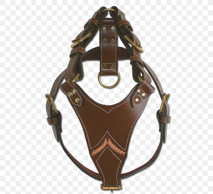 Pit Bull Horse Staffordshire Bull Terrier Cane Corso Dog Harness, PNG, 536x750px, Pit Bull, Belt, Bridle, Brown, Cane Corso Download Free