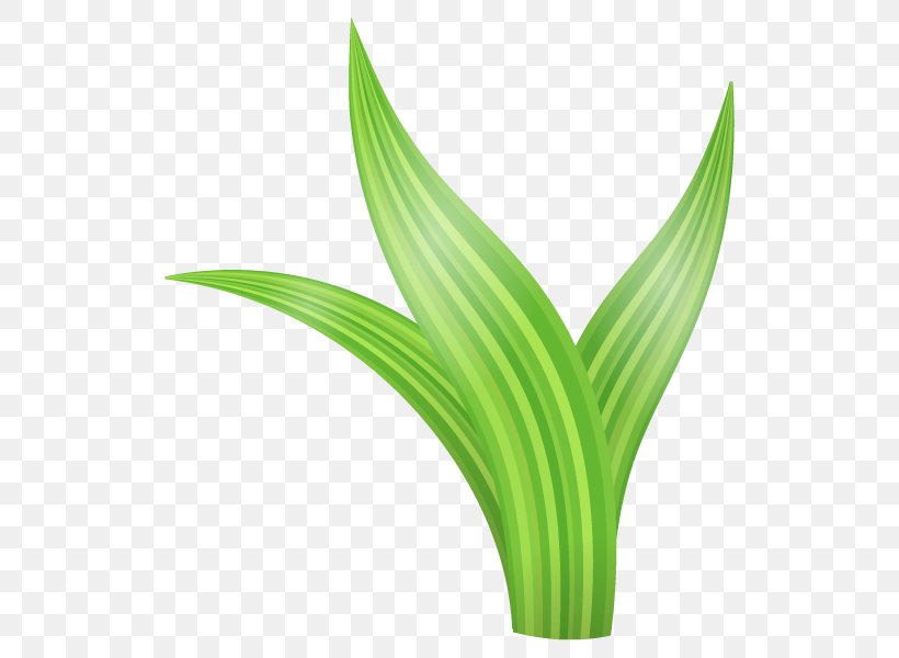 Illustration Weed Plants Grass Plant Stem, PNG, 600x600px, Weed, Category Of Being, Flower, Flowerpot, Grass Download Free