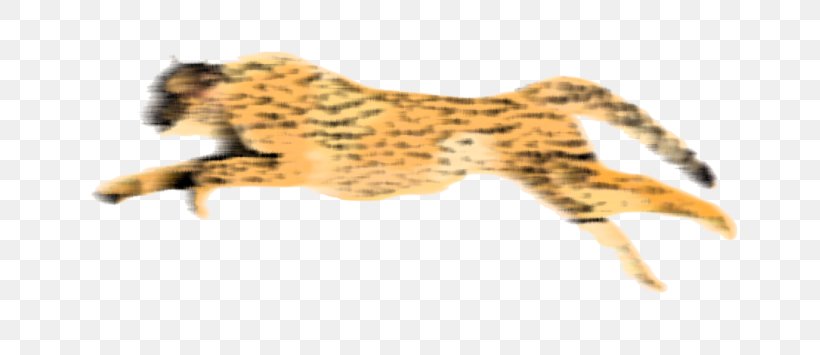 Leopard Cheetah Clip Art, PNG, 710x355px, Leopard, Animal Figure, Big Cat, Big Cats, Carnivoran Download Free