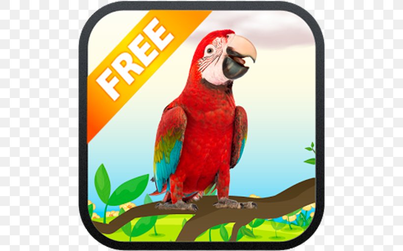 Macaw My Talking Parrot Bird Talking Lion, PNG, 512x512px, Macaw, Android, Beak, Bird, Fauna Download Free