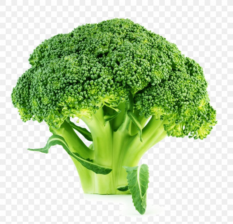 Broccoli Slaw Brussels Sprout Cauliflower Vegetable, PNG, 1397x1344px, Broccoli, Brassica Oleracea, Broccoli Slaw, Brussels Sprout, Cauliflower Download Free