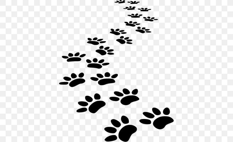 Dog Cat Puppy Pet Sitting Paw, PNG, 500x500px, Dog, Black, Black And White, Branch, Cat Download Free