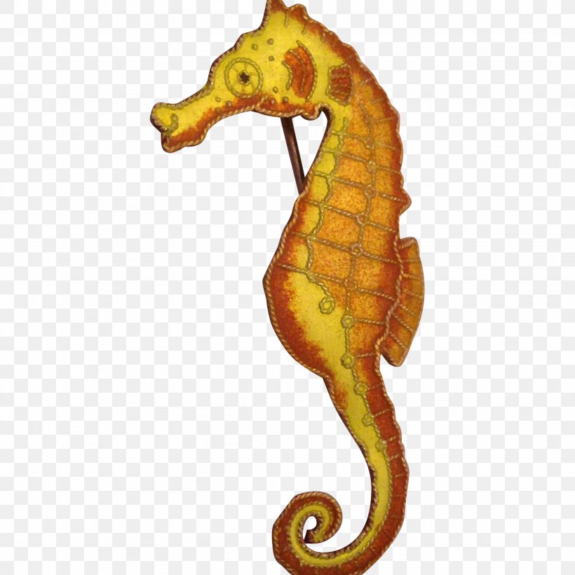 Seahorse Syngnathiformes Fish Animal Organism, PNG, 2048x2048px, Seahorse, Animal, Fish, Organism, Syngnathiformes Download Free