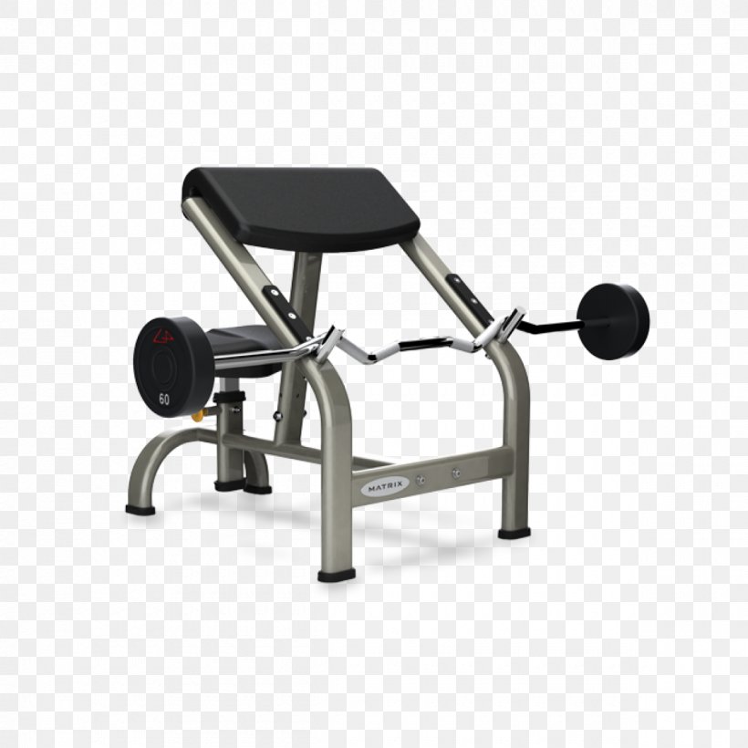 Bench Biceps Curl Weight Training Exercise Equipment Strength Training, PNG, 1200x1200px, Bench, Barbell, Biceps, Biceps Curl, Chair Download Free