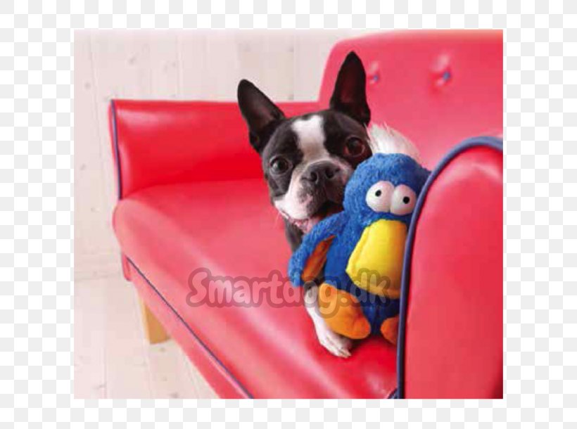 Boston Terrier French Bulldog Bird Puppy Dog Toys, PNG, 610x610px, Boston Terrier, Bird, Blue, Carnivoran, Companion Dog Download Free