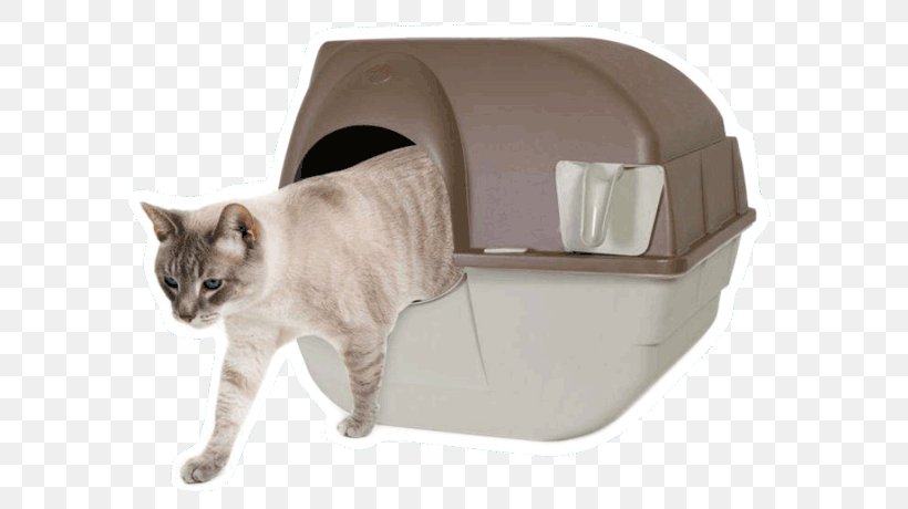 Cat Litter Trays Paw Box Pet, PNG, 655x460px, Cat, Amazoncom, Big Cat, Box, Cat Bed Download Free