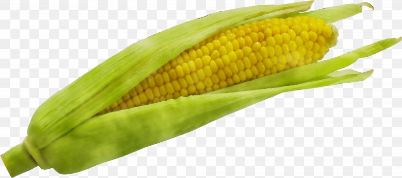 Corn On The Cob Sweet Corn Natural Foods, PNG, 4169x1855px, Corn On The Cob, Anthurium, Corn, Corn Kernels, Food Download Free