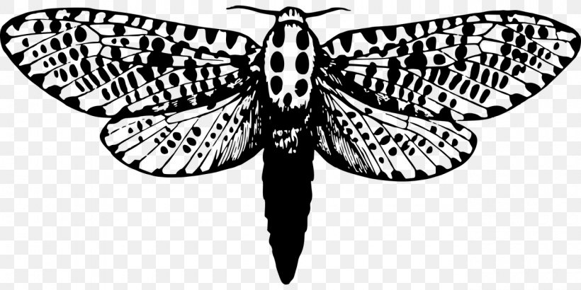 Giant Leopard Moth Butterfly Insect Clip Art, PNG, 1280x640px, Moth, Animal, Arctia Festiva, Arthropod, Black And White Download Free