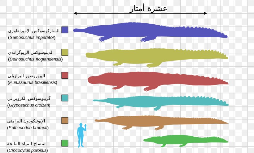 Crocodile Aegisuchus Crocodyliformes Purussaurus Deinosuchus, PNG, 1280x775px, Crocodile, Alligator, Alligators, Area, Crocodiles Download Free