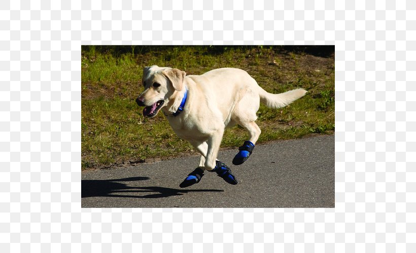Labrador Husky Dog Booties Paw Pet, PNG, 500x500px, Labrador Husky, Boot, Clothing, Dog, Dog Booties Download Free