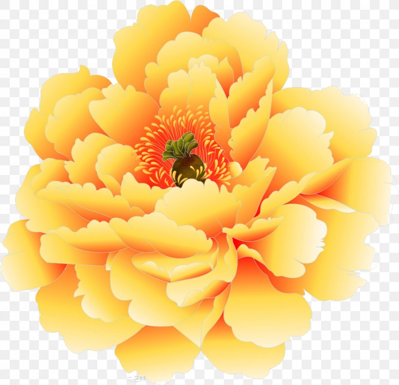 Moutan Peony Yellow, PNG, 905x875px, Moutan Peony, Blue, Color, Cut Flowers, Drawing Download Free