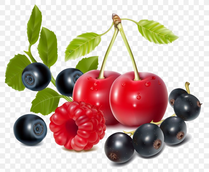 Berry Clip Art, PNG, 1000x821px, Berry, Auglis, Bilberry, Blackcurrant, Blueberry Download Free