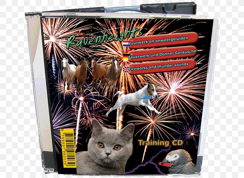 Dog Puppy Whiskers Fireworks Compact Disc, PNG, 665x600px, Dog, Animal, Cat, Cat Like Mammal, Compact Disc Download Free