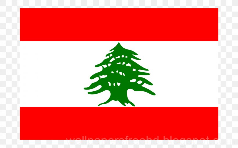 Flag Of Lebanon National Flag White Flag, PNG, 1600x1000px, Lebanon, Area, Brand, Cedar, Cedrus Libani Download Free
