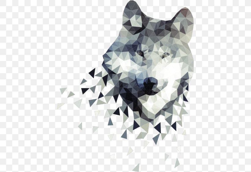 Gray Wolf African Wild Dog Zazzle Poster Illustration, PNG, 564x564px, Gray Wolf, African Wild Dog, Art, Canvas, Carnivoran Download Free