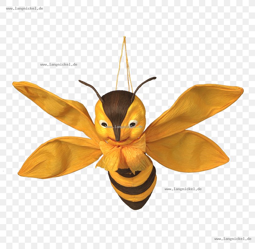 Honey Bee Moth Pest, PNG, 800x800px, Honey Bee, Arthropod, Bee, Butterfly, Honey Download Free