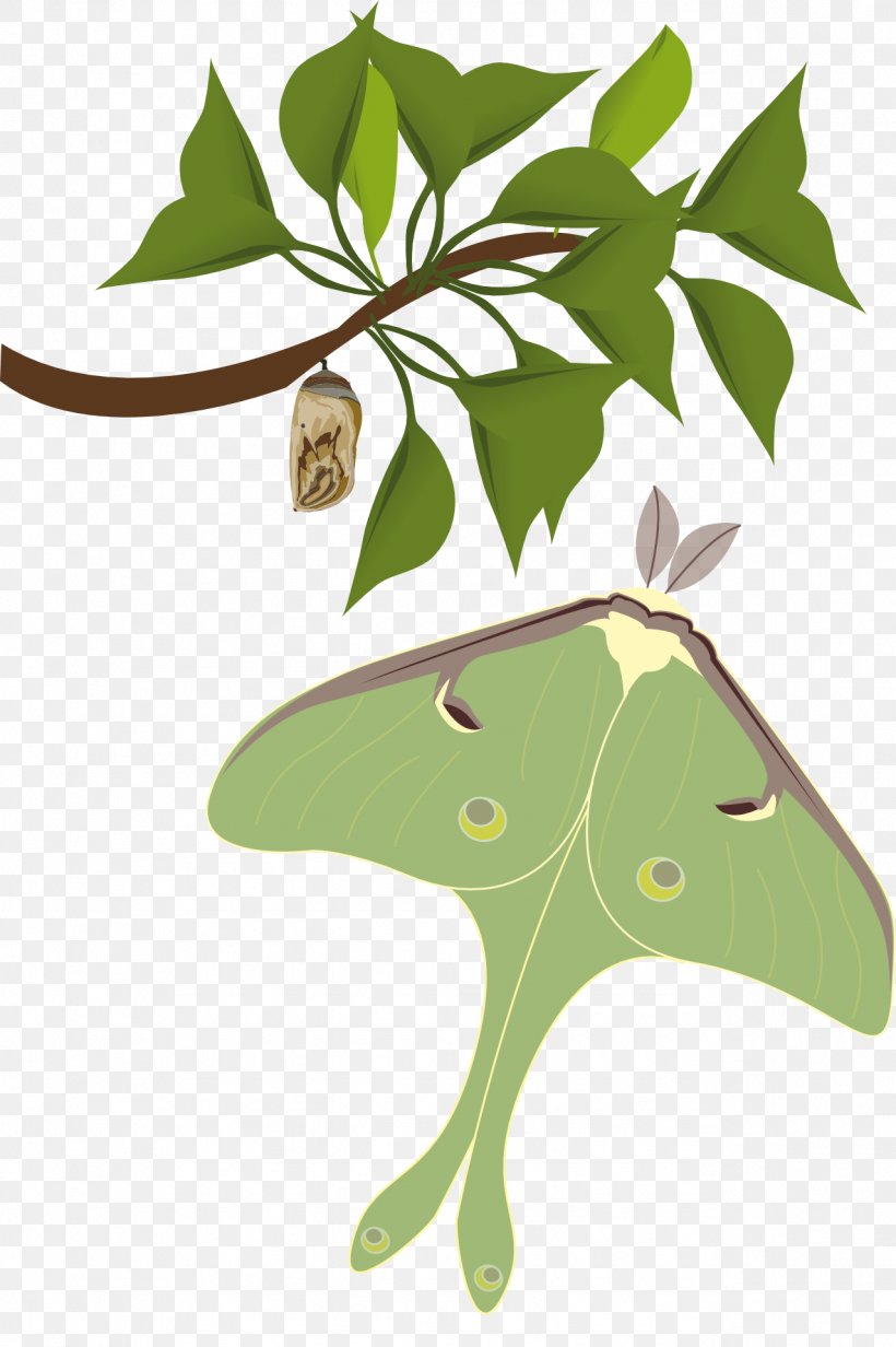 Butterfly Insect Clip Art, PNG, 1277x1920px, Butterfly, Branch, Butterflies And Moths, Fauna, Fictional Character Download Free