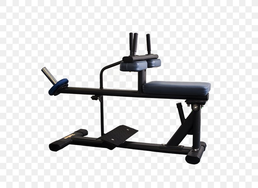 Gymaster Store Weightlifting Machine TigerSport Product Sports, PNG, 600x600px, Weightlifting Machine, Bench, Distribution, Exercise Equipment, Exercise Machine Download Free