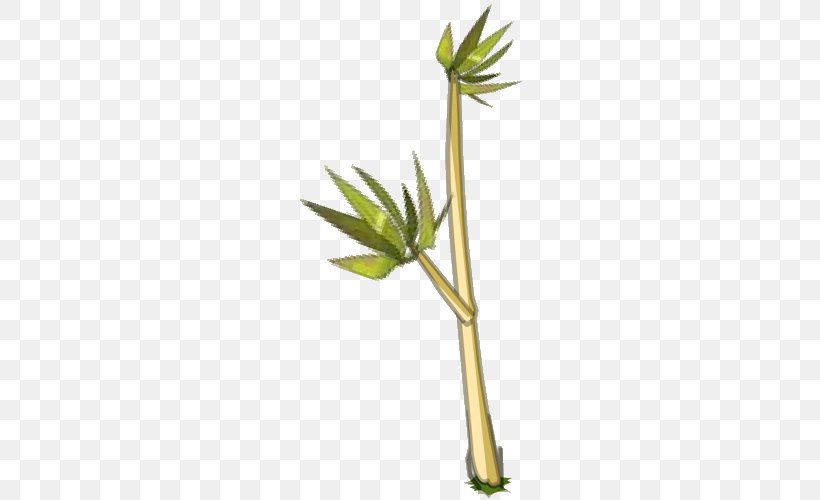 Lucky Bamboo Bambu Runcing, PNG, 500x500px, Bamboo, Bamboe, Bambu Runcing, Flower, Grass Download Free