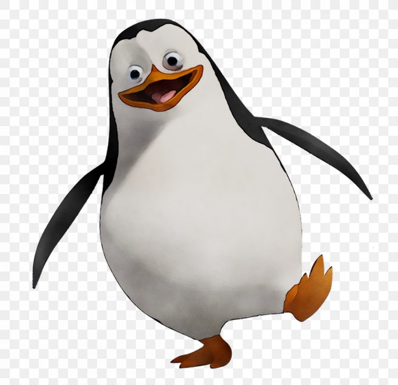 Penguin Rico Kowalski Charming Villain Skipper, PNG, 1049x1016px, Penguin, Animation, Beak, Bird, Charming Villain Download Free