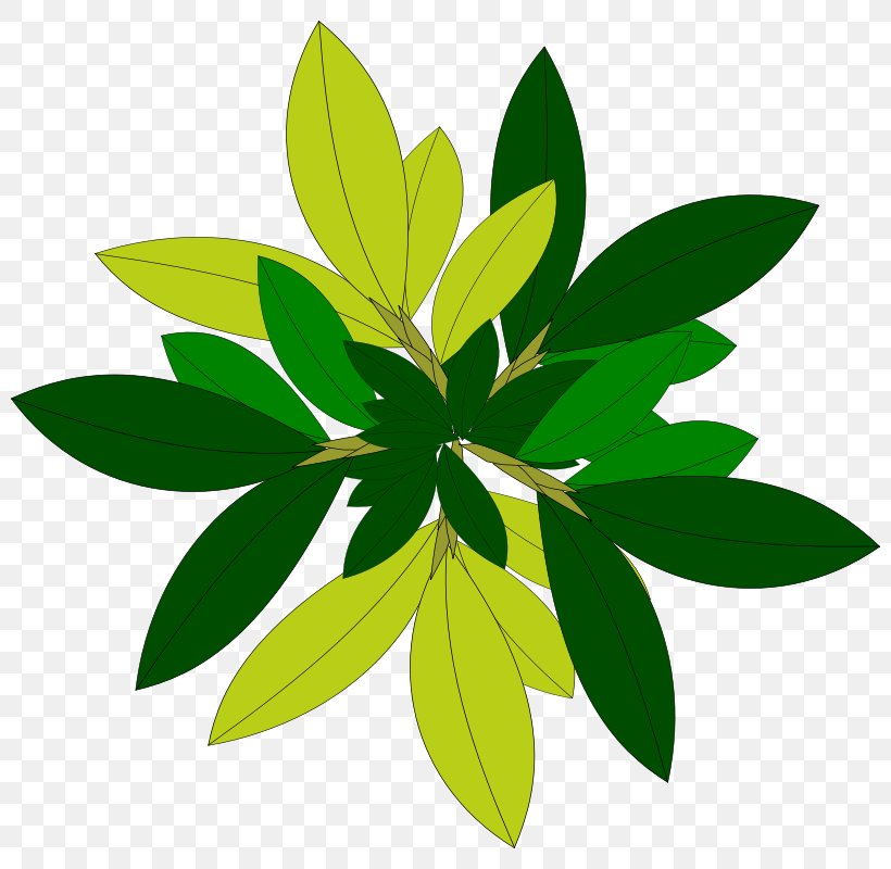 Plant Tree Clip Art, PNG, 800x800px, Plant, Drawing, Flower, Green, Landscape Download Free