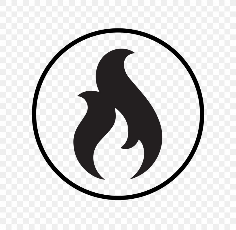 Flame Fire Symbol Drawing, PNG, 1600x1563px, Flame, Beak, Bird, Black, Black And White Download Free
