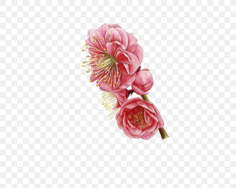 Flower, PNG, 472x654px, Flower, Artificial Flower, Blossom, Chart, Cut Flowers Download Free