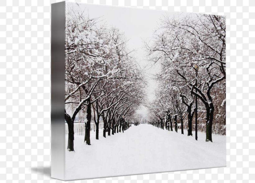 Gallery Wrap Winter Canvas Art Road, PNG, 650x590px, Gallery Wrap, Art, Black And White, Blizzard, Branch Download Free