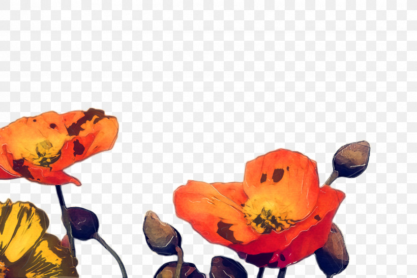 Petal Cut Flowers Plants Fish, PNG, 2448x1632px, Petal, Anemone, Animation, Coquelicot, Corn Poppy Download Free