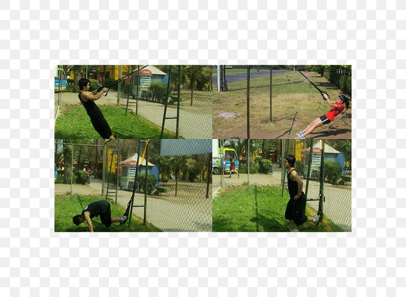Playground Leisure Swing Google Play, PNG, 600x600px, Playground, Google Play, Grass, Leisure, Net Download Free