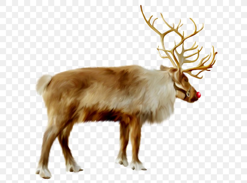 Reindeer Santa Claus Christmas Ded Moroz Clip Art, PNG, 650x609px, Reindeer, Antler, Arrenslee, Christmas, Data Download Free